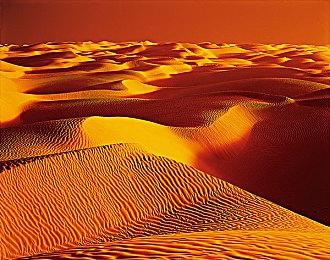 《彩虹六号：异种》深入介绍系列 地图、任务种类和难度